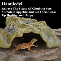 Hamiledyi Reptile Hides Large Simulation Rock Reptile Cave Hideouts Terrarium…