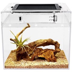 Mini Reptile Terrarium 8x8x8 Tank for Insects Fish Tarantula–