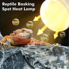 Reptile Heat Lamp, 100W Heat Lamp Bulbs for Reptiles 2 Pack, Amphibians Baski…