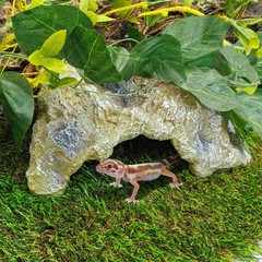 Hamiledyi Reptile Hides Large Simulation Rock Reptile Cave Hideouts Terrarium…