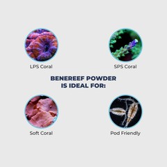 Benepets BeneReef Powder Complete Reef Nutrition – 1.4 Ounce (Pack of 1)