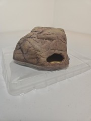 NEW Exo Terra Gecko Cave for Reptiles / Amphibians Reptile Hideout Medium