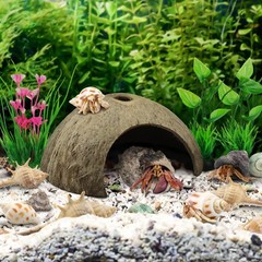 22 PCS Hermit Crab Supplies Natural Coconut Shell Hut Shells Plants