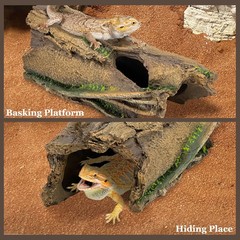 Fhiny Aquarium Resin Bark Terrarium Decor, Reptile Hides and Caves, Fish Hide…