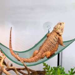Bearded Dragon Hammock Habitat Lizard Reptile Lounger Hanging Bed 2 PACK USA##
