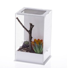 Insect Feeding Box Clear Plastic Container Terrarium for Mantis Spider Scorpions