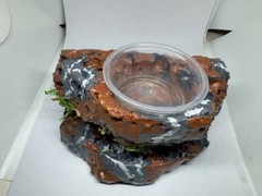 Reptile Magnetic Ledge With 5 Feeder Cups Small Desert