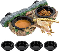 Magnetic Reptile Feeding Ledge, Gecko Feeder Ledge with 4PCS Cups, Hollow Vine F