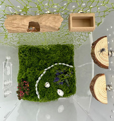 6Pcs Jumping Spider Accessories Set,Tree Jumping Spider Climbing Toy with Cave,