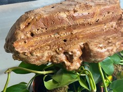Magnetic Rock Ledges Made For Terrariums And Cages