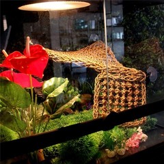 5 PCS Bearded Dragon Hammock, Flexible Jungle Climber Reptile Vines Terrarium…