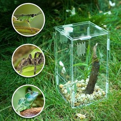 Acrylic Reptile Mini Tank 4x4x8 Sturdy Terrarium for Tarantula Isopod Inverte…