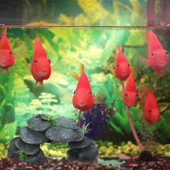 Resin Reptile Hides Pebble Shrimp Hides for Aquarium Tank Terrarium Reptile R…