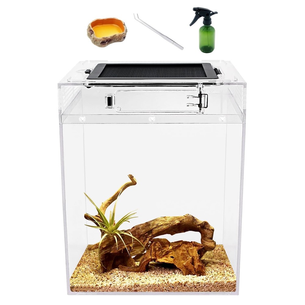 Reptileg Growth Reptile PC Terrarium, 8”x 8”x 11” with Top Sliding Door Sc…
