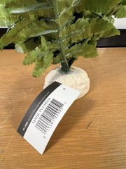 Exo Terra Boston Fern Artificial Plant for Terrariums Multi Color Medium Size