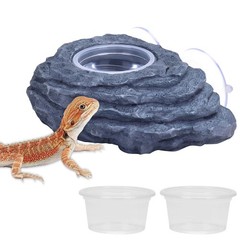 Crested Gecko Feeder Ledge Single Bowl Reptile Food Dish with 3PCS Reptile Feedi