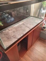 75 Gallon Reptile Tank