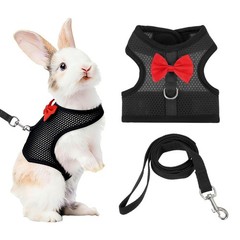 Rabbit Harness and Leash Small Pet Cute Vest Harness Leash M Black