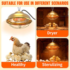 300W Heat Lamp for Chicken Coop – Waterproof Chicken Coop Heater for Indoor &