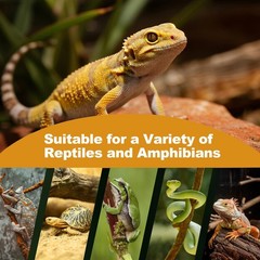 2Pack Reptile Heat Lamp, 150W Reptile Heat Emitter Infrared Basking Spot Ligh…