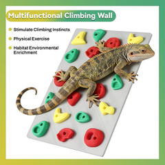 Climbing Wall for Reptiles, Reptile Tank Terrarium Accessories Habitat Decor for