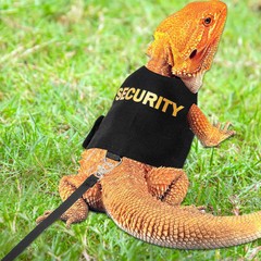 Bearded Dragon Harness Security Leopard Gecko Small Animal Leashes & Harnesses