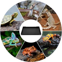 Tortoise Food Bowl Reptile Large Water Dish Turtle Feeder Plate Baby