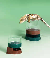 Reptile & Gecko Durep Water Dispenser – Small (30ml) Olive Green 1pc