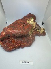 Magnetic Rock Ledges For Terrariums And Cages (Limited Edition) Medium LAVA