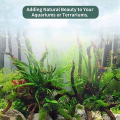 Hamiledyi 3 Pcs Natural Driftwood for Aquarium 7-12 Inch Driftwood Branches B…