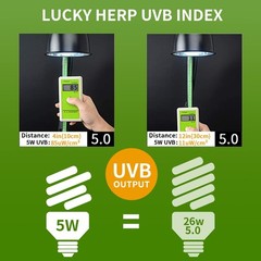 Mini UVA UVB Reptile Light 5.0 5W, UVB Bulb for All Tropical and Sub Tropical…