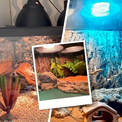 Reptile Lamp Bulb Fixture 5.5 Inch Deep Dome with Switch – Ideal for 60W/75W/…