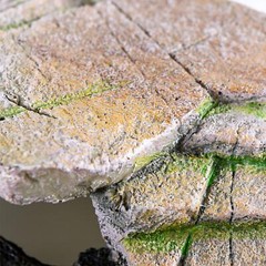 (REP183) Reptology Shale Scape Step Ledge & Cave Hideout – Decorative Resin f…