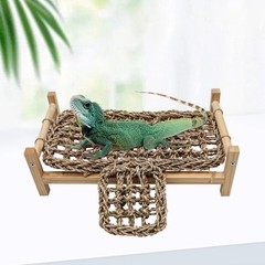 Dnoifne Bearded Dragon Bed with Climbing Ramp – Natural Wood and Seagrass Ham…