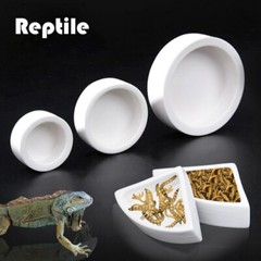 Ceramics Reptile Feeder Water Food Dish Feeding Bowl For Turtle Lizard