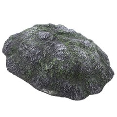 Turtle Platform Aquarium Basking Turtles Reptiles Tortoise Floating