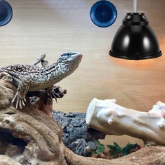 2Sets Black Reptile Heat Lamp Shade with Safe Antiscald Dome for Terrarium Heat