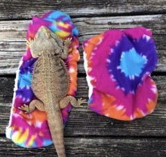 TYE DYE PRINT LARGE ATTACHABLE RESTING BED SET SOFT COVER 4 BEARDED DRAGON