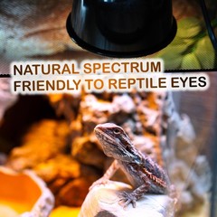 100W 2Pack Reptile Basking Heat Bulb UVA Daylight Heat Lamp for Bearded Drag…