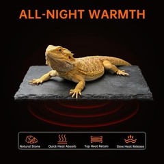 3 in 1 Bearded Dragon Basking Platform Reptile Habitat Cave Hideout W/ Food Bowl
