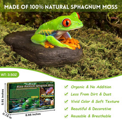 3.5 OZ Premium Sphagnum Moss for Reptiles 4QT Natural Live Moss Reptile Moss Bed