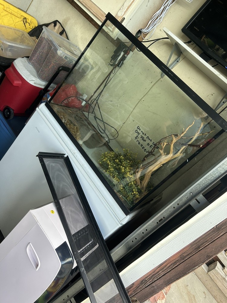 Reptile Tank Starter Kit – Suitable for Small Reptiles Such as Geckos, Snakes