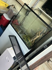 Reptile Tank Starter Kit – Suitable for Small Reptiles Such as Geckos, Snakes