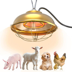 300W Heat Lamp for Chicken Coop – Waterproof Chicken Coop Heater for Indoor &