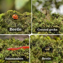 Reptile Moss Substrate for Humidity Hiding Nesting Bedding 5oz