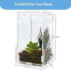 Jumping Spider Enclosure, Arboreal Tarantula Enclosure, Praying Mantis Terrar…
