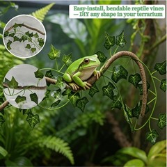 Bearded Dragon Tank Accessories, Terrarium Decor, Ball Python