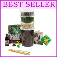 Complete Terrarium Starter Set – Build & Care Guide Included