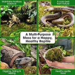 Reptile Decor Set – 10FT Bendable Climbing Vine & 4oz Natural Dried Moss for Ter