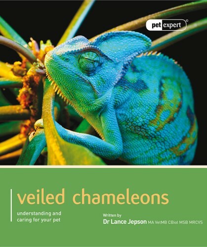 “VEILED CHAMELEONS” BOOK FROM PET EXPERT SERIES